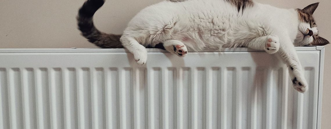 Vloerverwarming als hoofdverwarming of bijverwarming